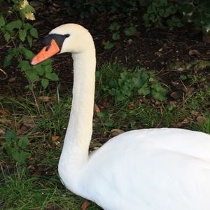 Meet your Posher, Moira